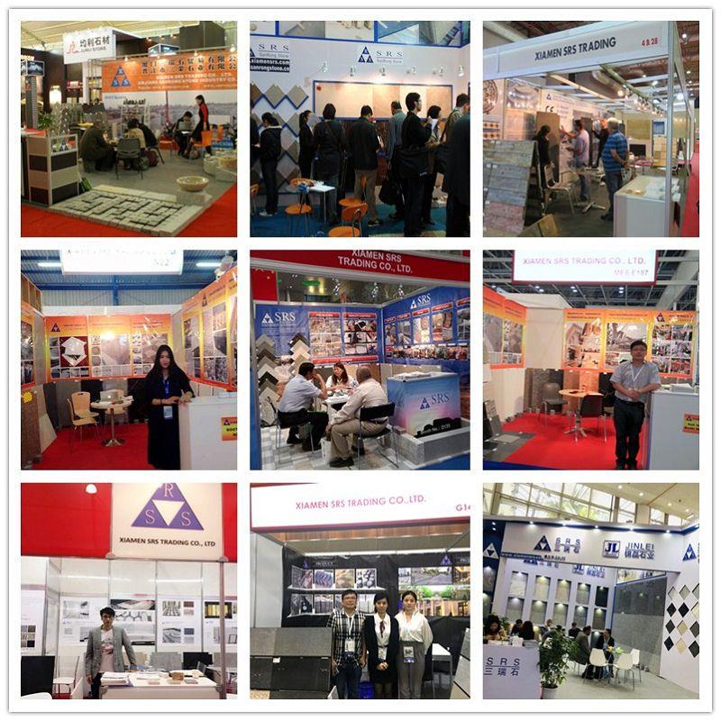 Exhibition for Mongolia Black tile(001)